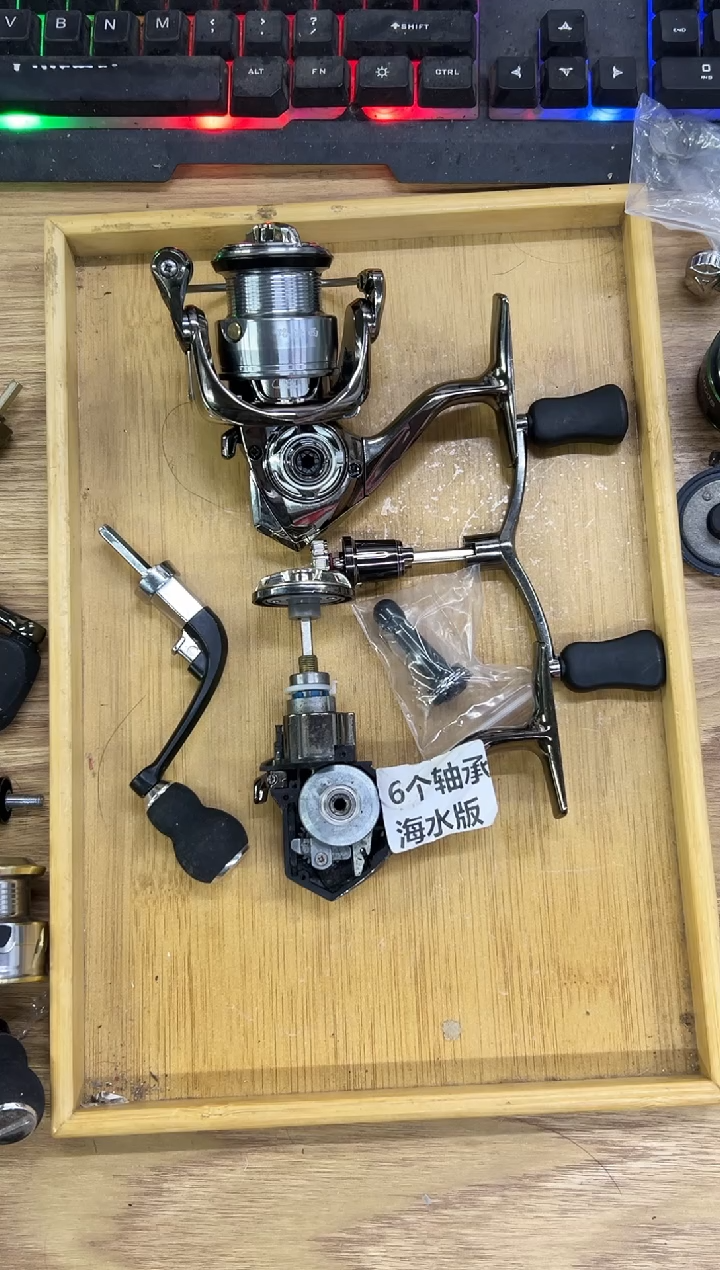 53型号2500泰诺精工6个轴承