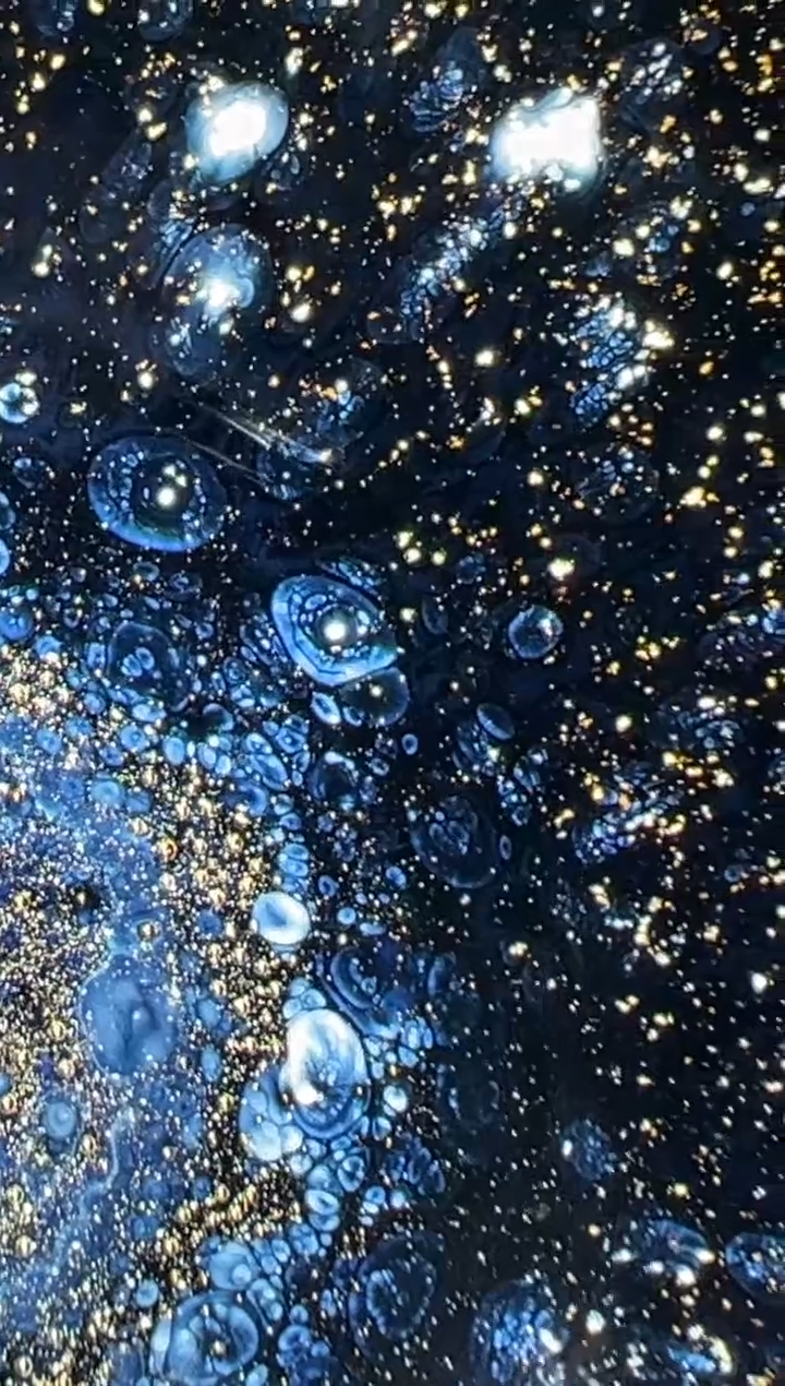 茶盏松****歌1柳宣堂开窑现场暇宝1600