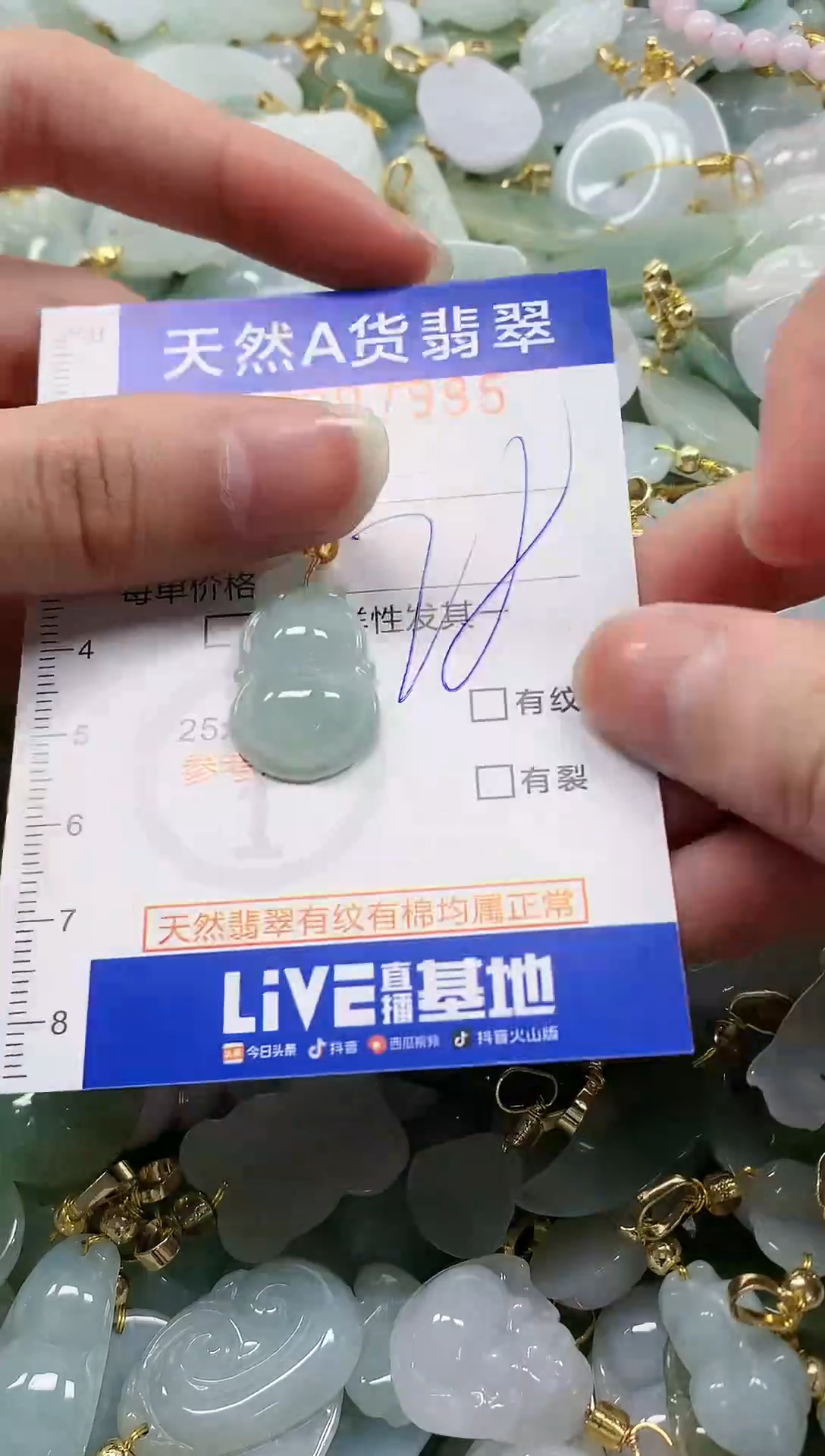 颈饰未镶嵌翡翠纯天然a货翡翠
