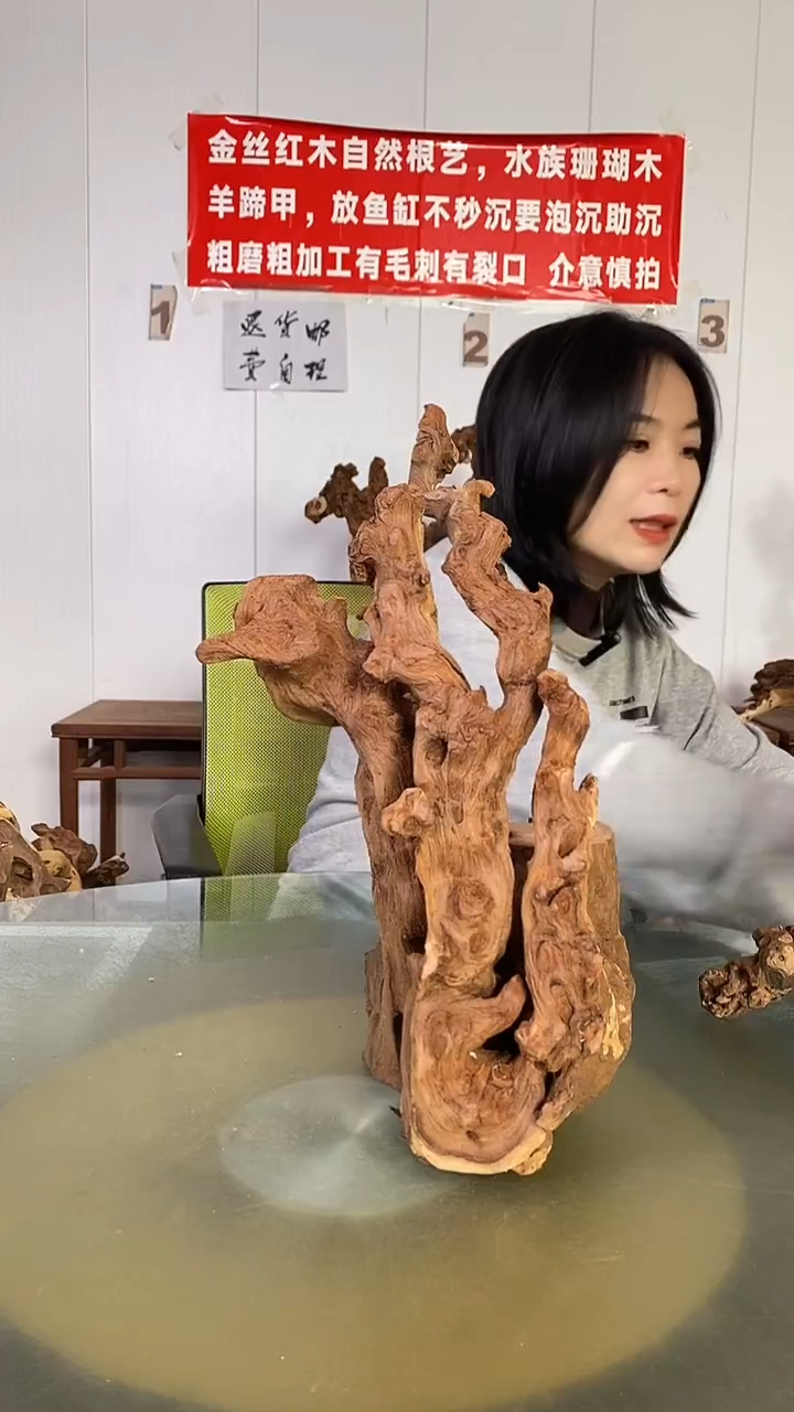 木李****造金丝红木  羊蹄甲