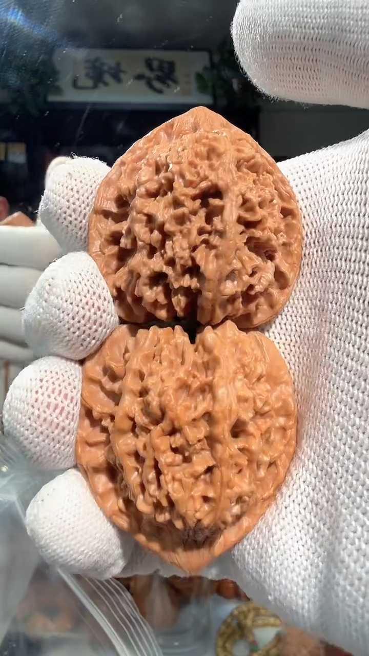 把件龙脊菩提011 满天星41-41