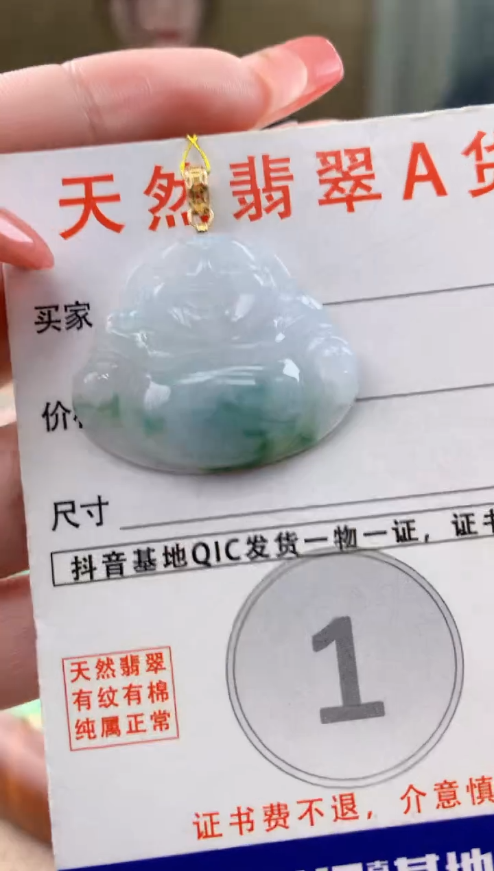 颈饰未镶嵌翡翠天然A货翡翠挂件