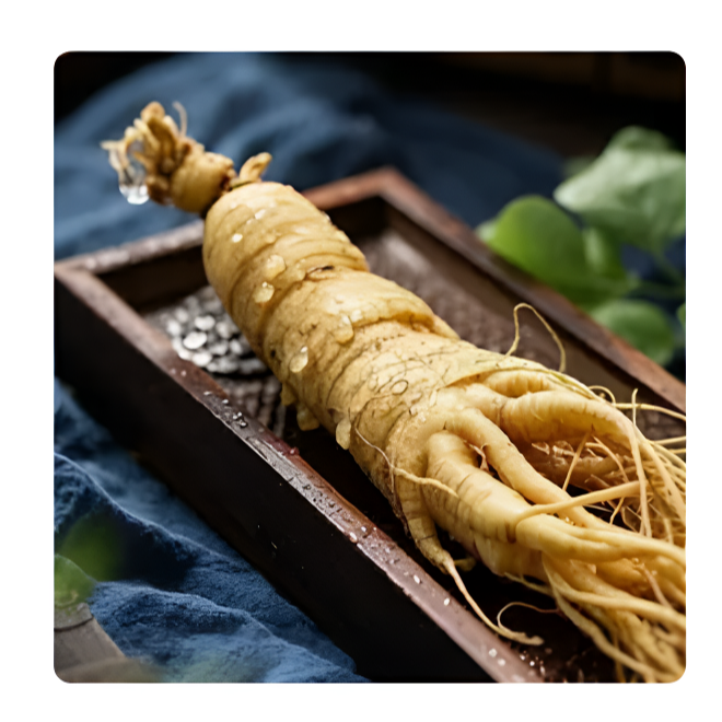 【官方正品2】养生健康长白山人参农产品