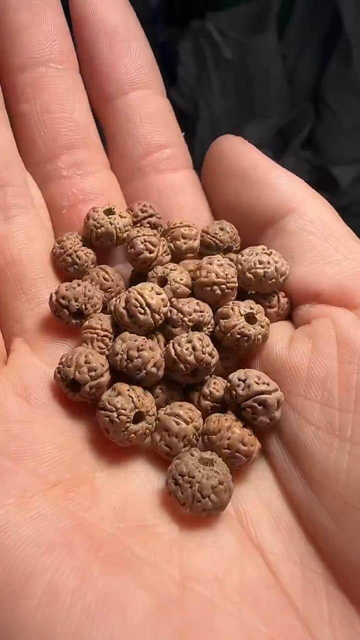 金刚菩提手串非全品老树王散籽7-8mm一份一百颗