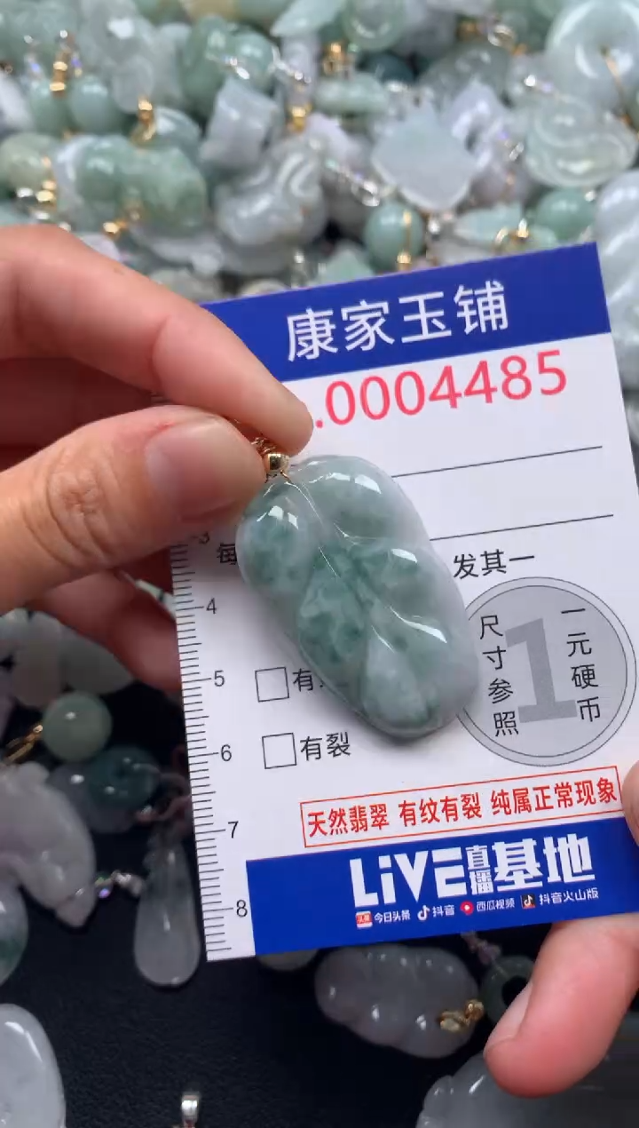 颈饰未镶嵌翡翠4485