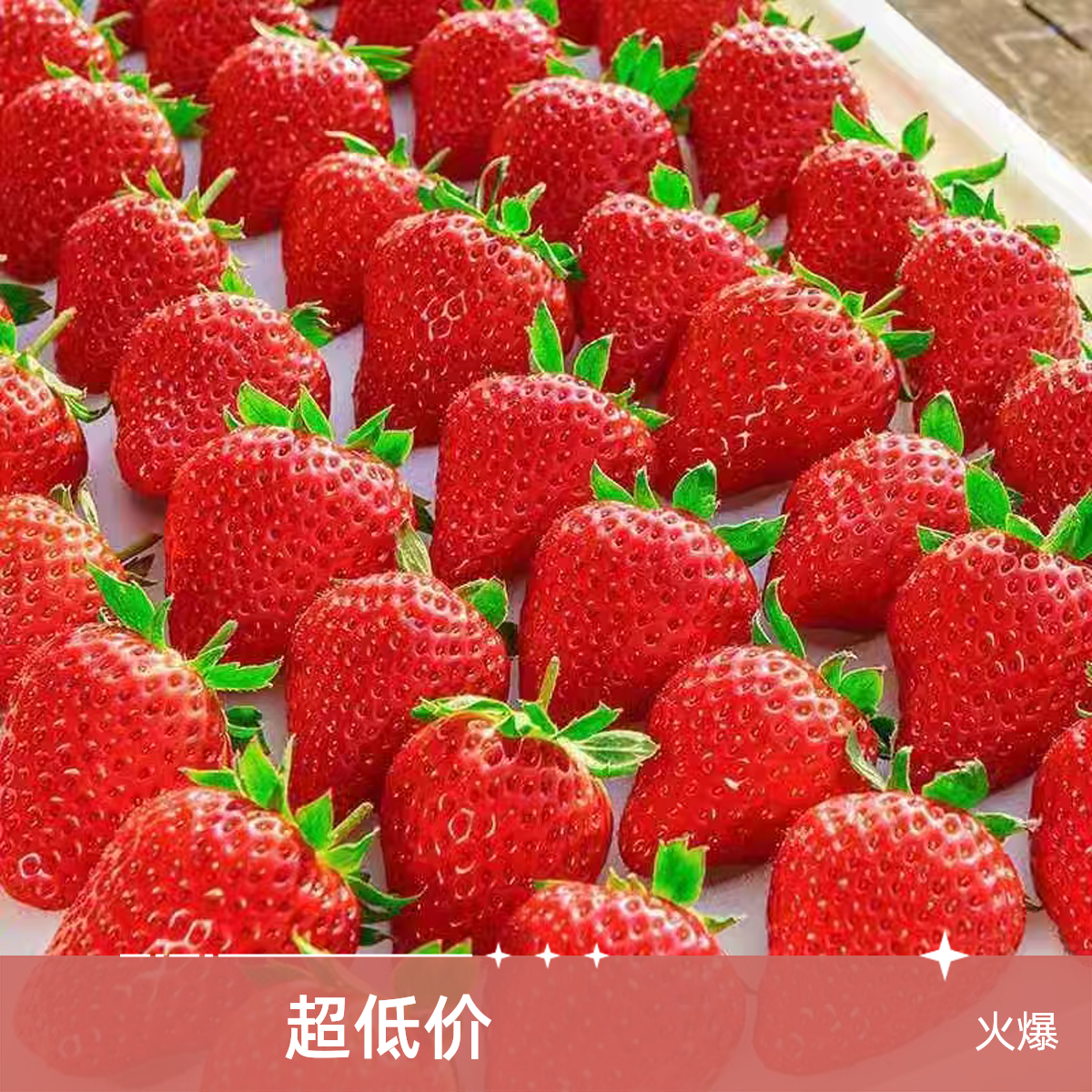 拉萨草莓新鲜现摘草莓拉萨99红颜草莓500g拉萨当日送达