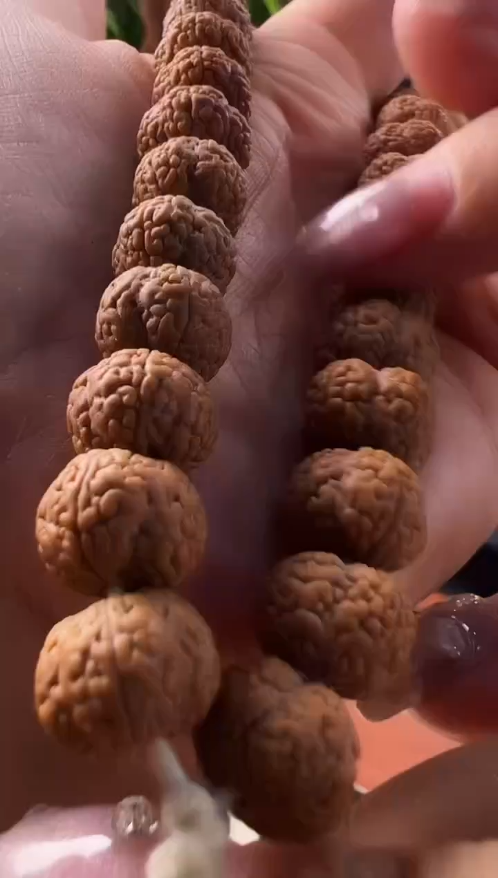 金刚菩提吊坠毒药龙鳞手持《四瓣》10mm左右