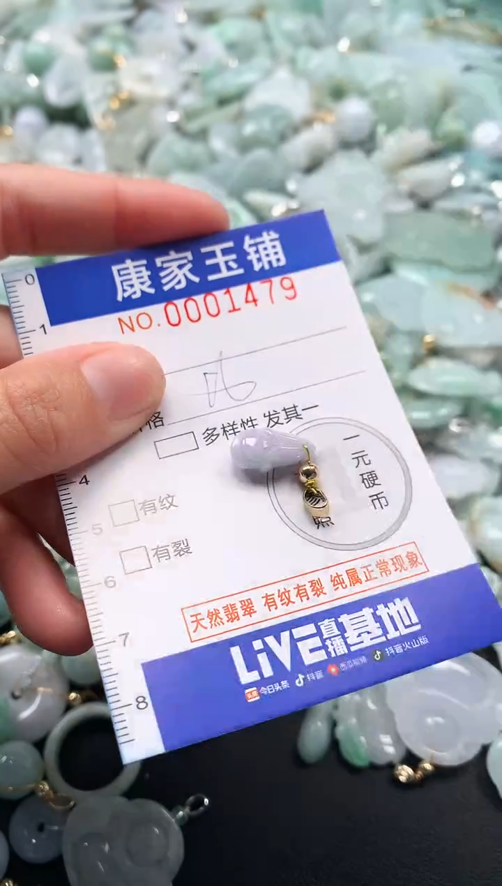 颈饰未镶嵌翡翠1479