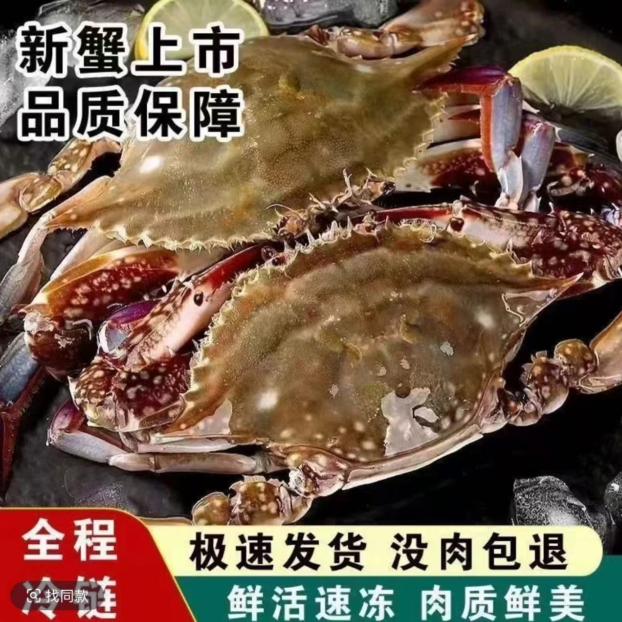 JH【冻蟹】连云港黄海野生梭子蟹全母蟹3-5两/只净重4斤到手10-12只螃蟹