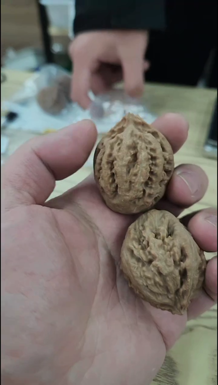 核桃【霸王龙】0.1元福利