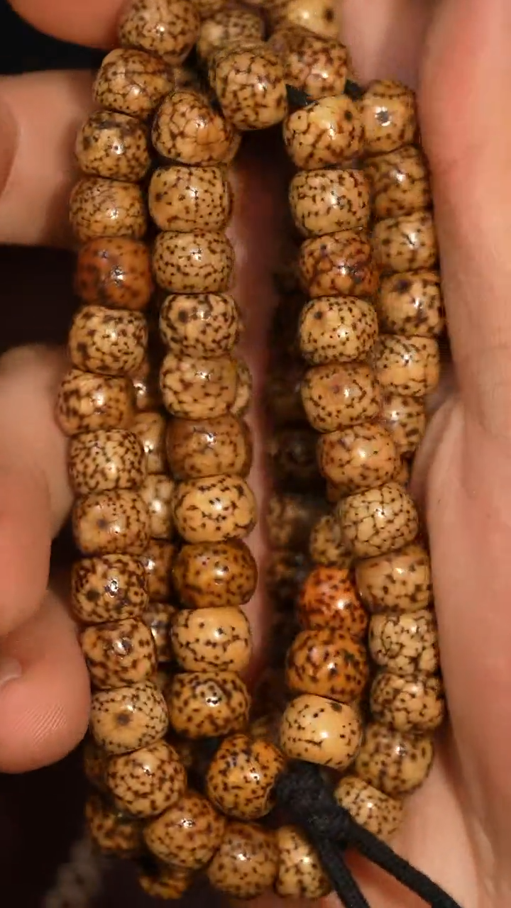 冲赛康胡子哥，藏传念珠139