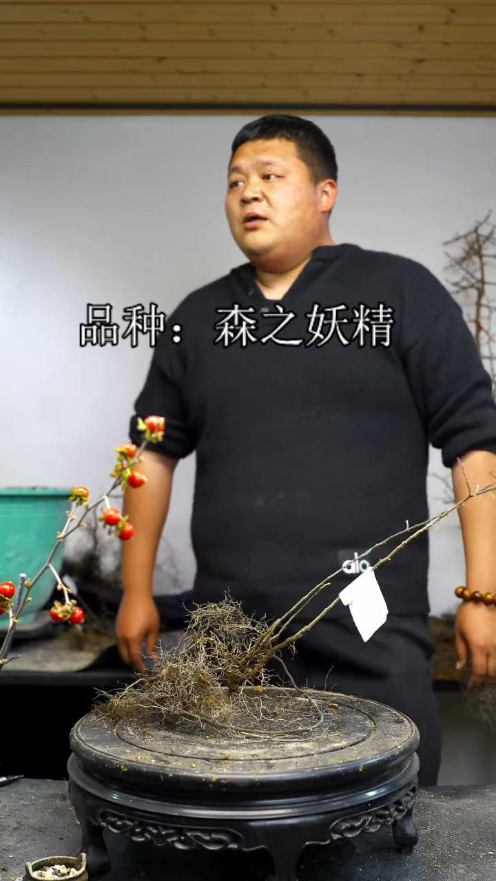 无花朵k****a/700顺丰到付/251218/8森之妖精