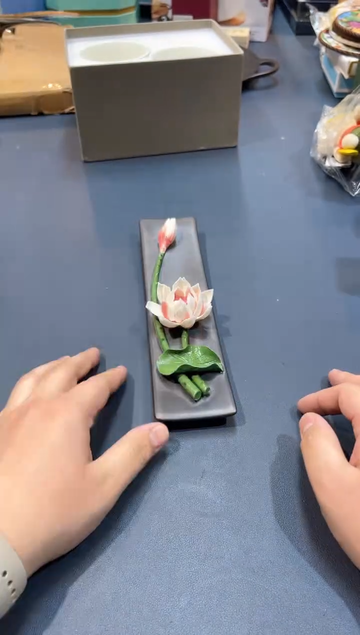 【闪购商品】碗E315全场正品，京东包邮