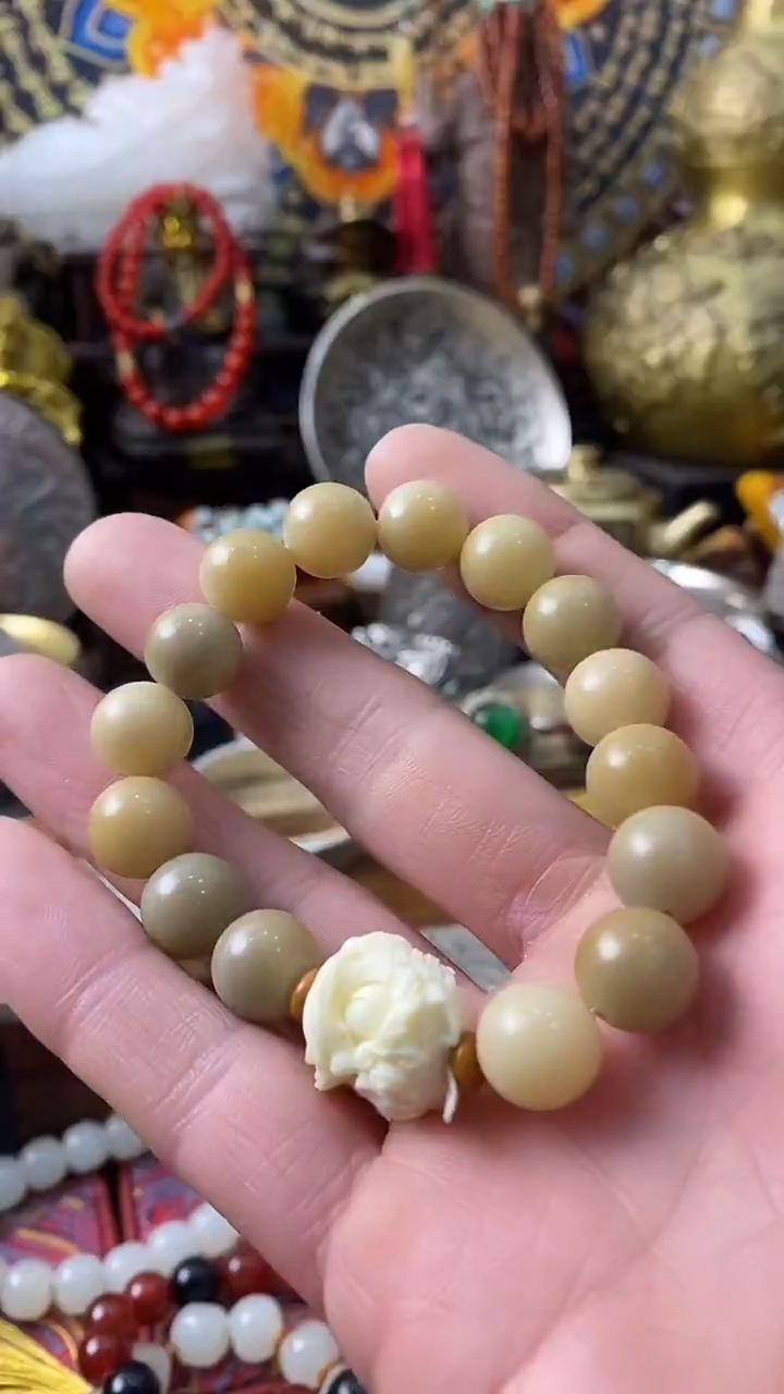 木------主播推荐------