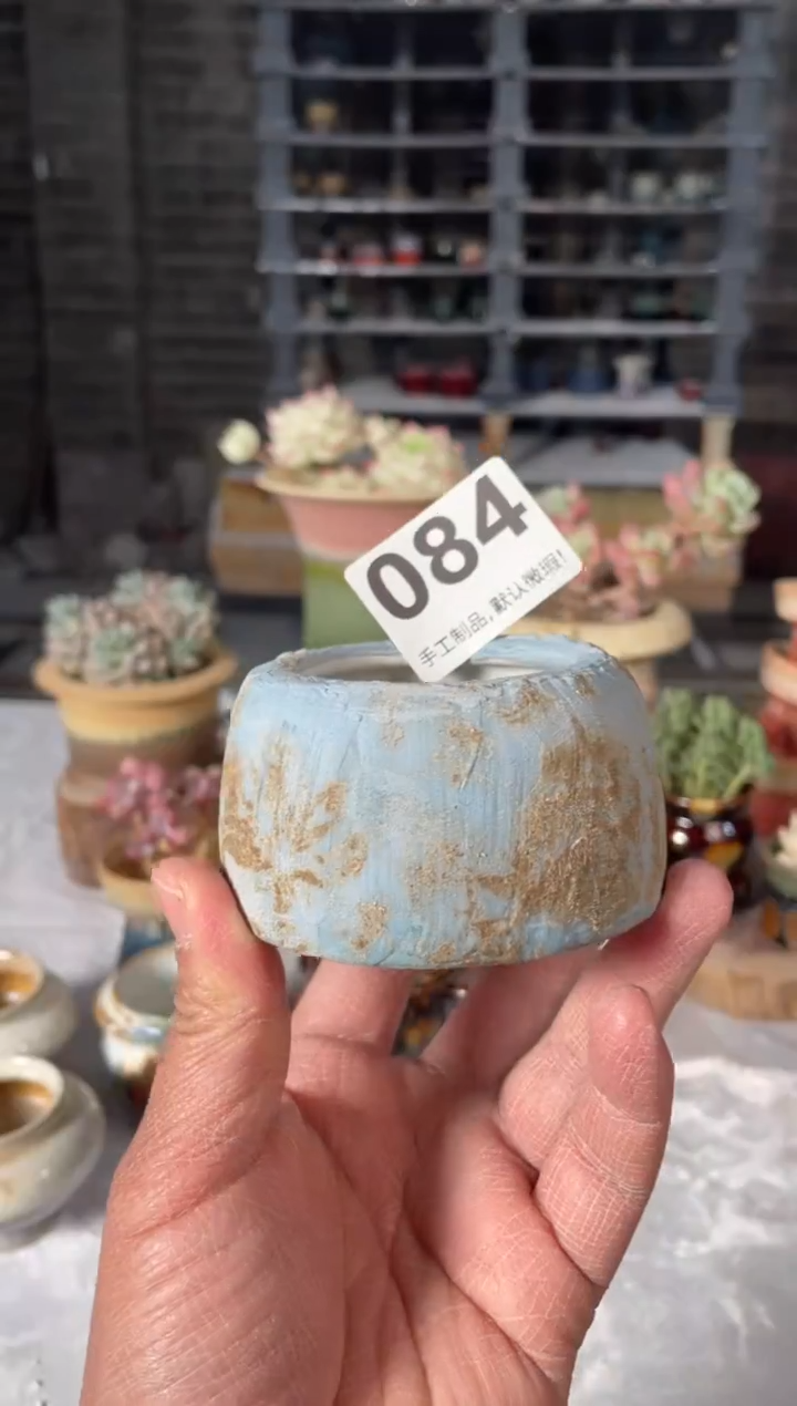瓷片084小芳直播编号