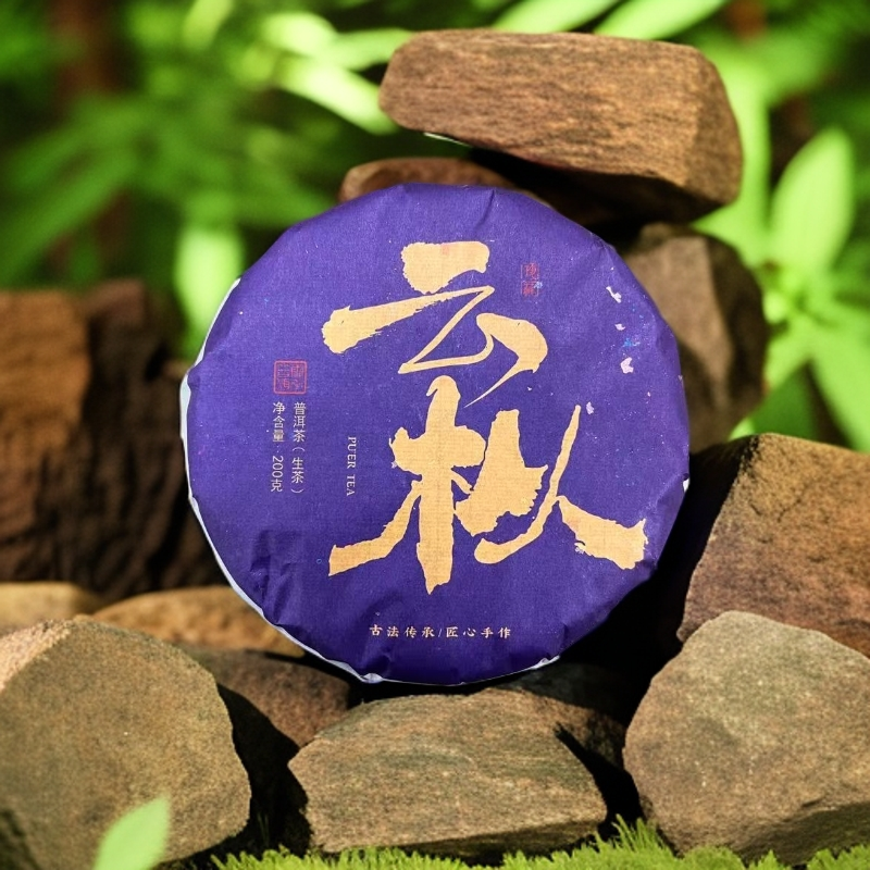 【官方力荐】2024年云枞古树头春生茶200g饼带茶样