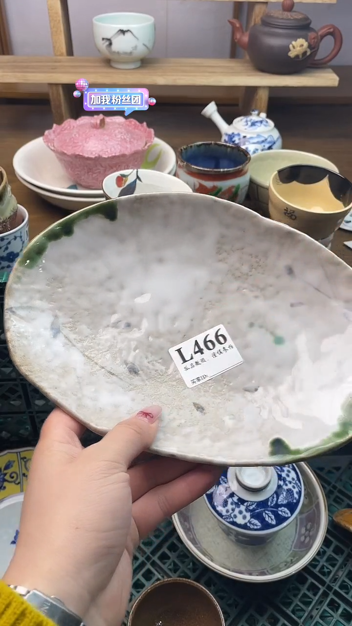 瓷片素*                      