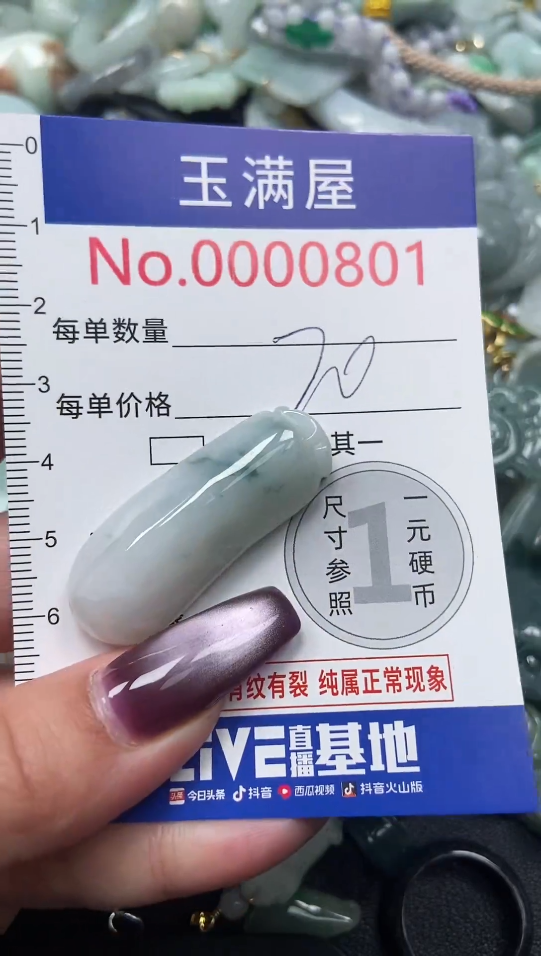 颈饰未镶嵌翡翠801