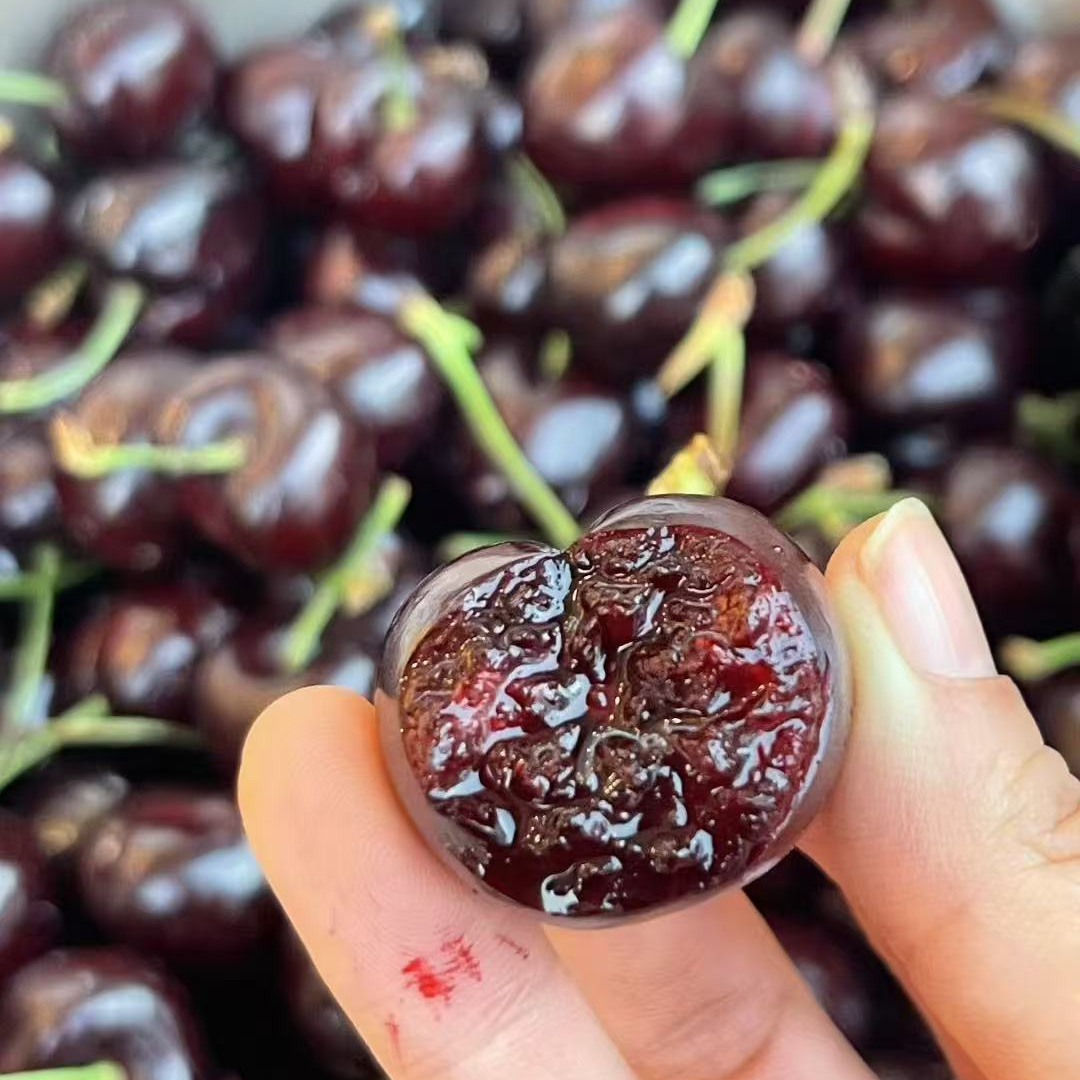 4JDD【5斤原箱】海运智利进口桑提娜车厘子2-4J升级黑车内附果径卡