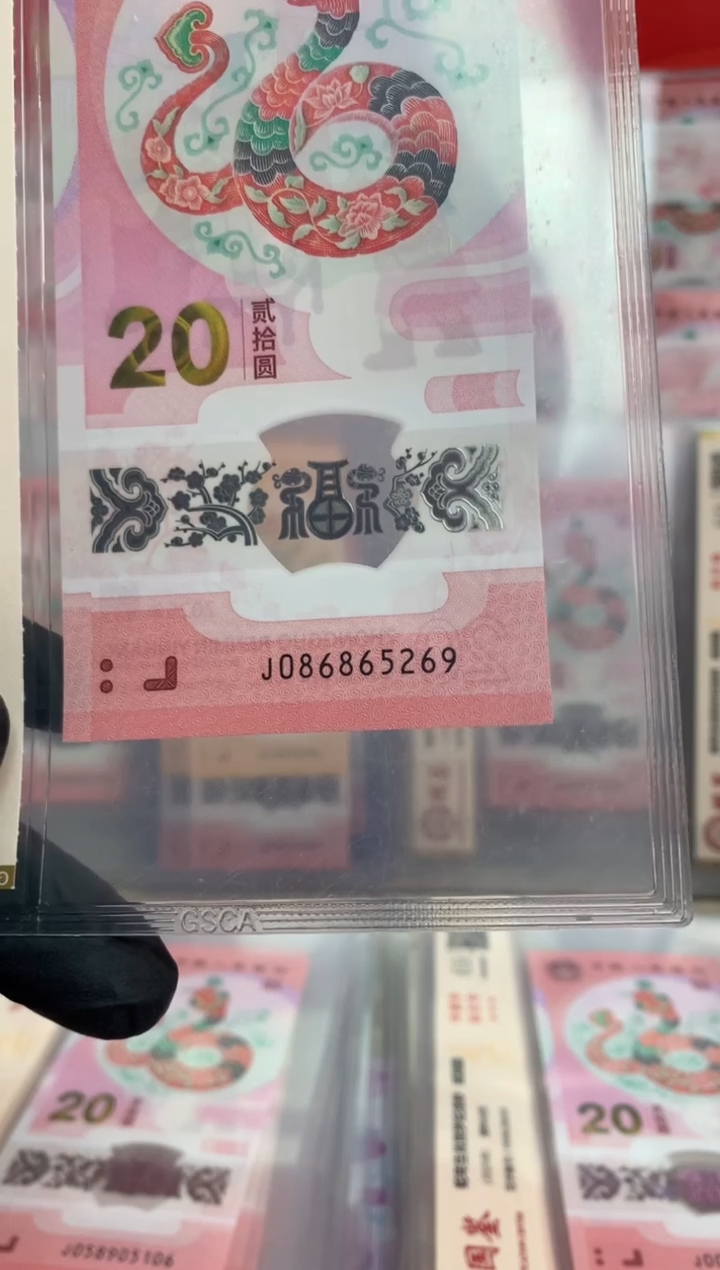 【闪购商品】塑料蛇钞 真钞【单张】5269