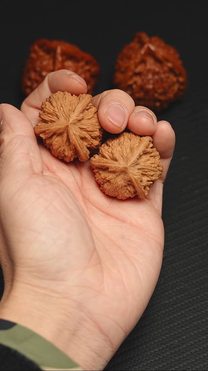 吊坠文玩核桃38.5 御龙粗筋