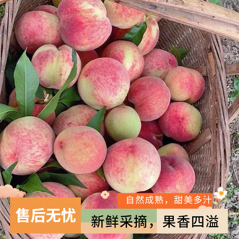 蓟县垛子桃 500g天津市