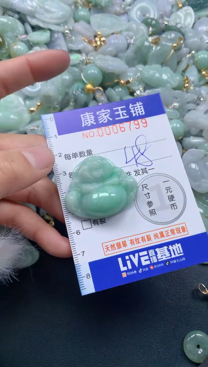 颈饰未镶嵌翡翠6799