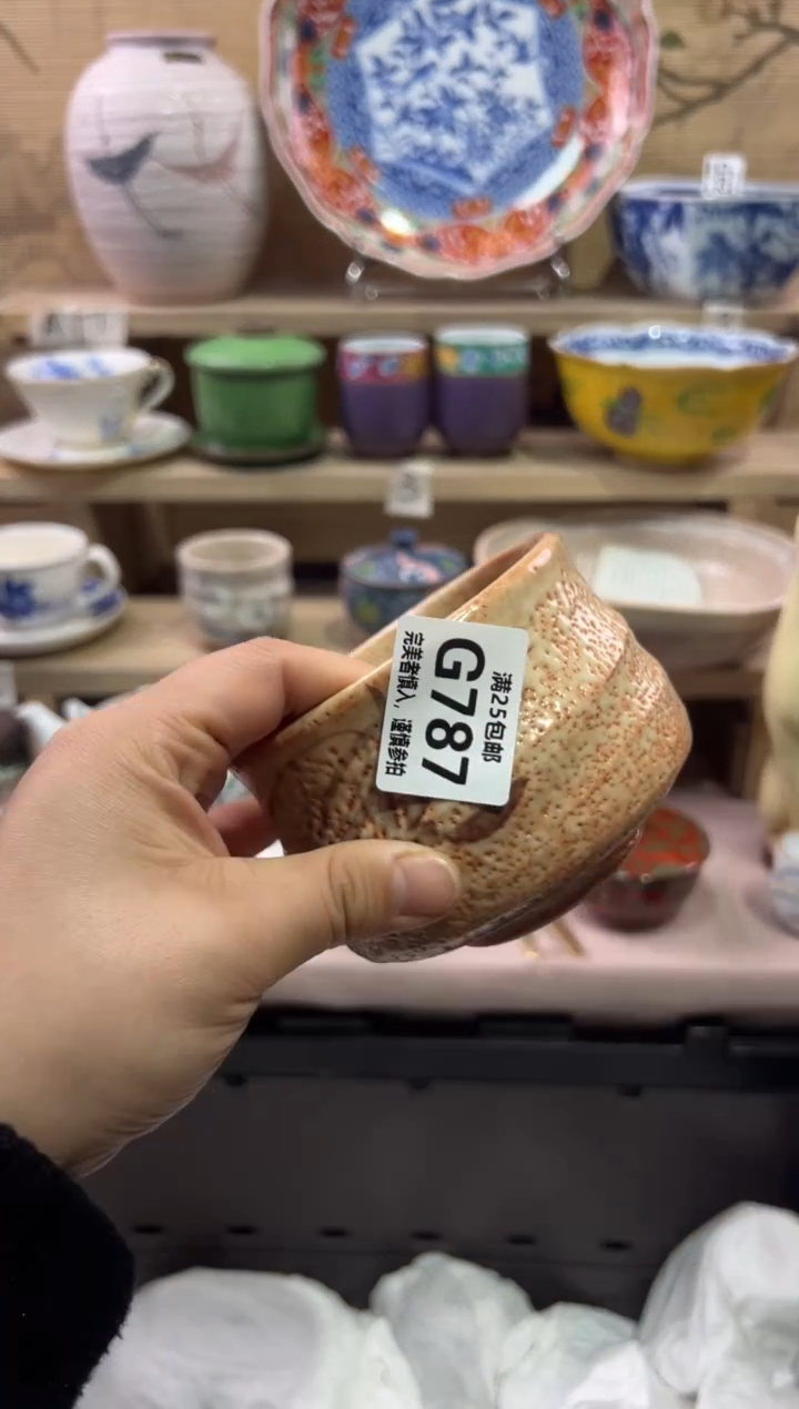 瓷片一***苇               G787