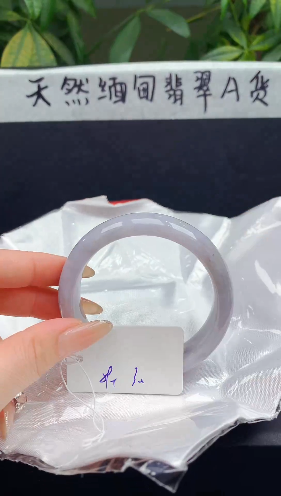 未镶嵌手镯翡翠152