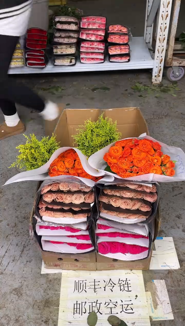 佛洛依德20枝+卡布20枝+橙色芭比10枝+黄莺