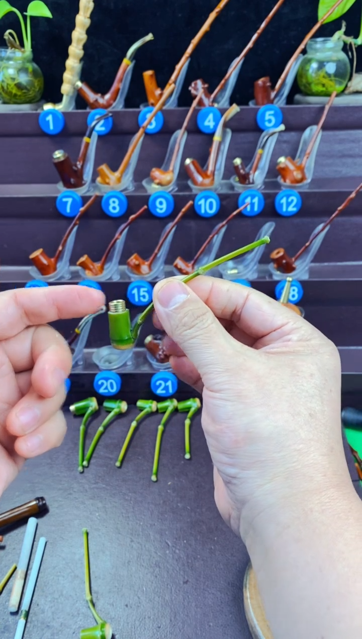 木孙*科檬子木的精品小斗