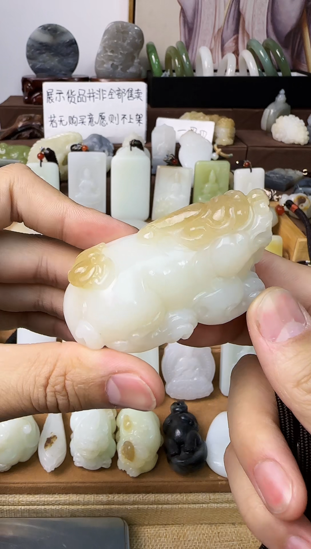 【闪购商品】和田玉颈饰未镶嵌貔貅