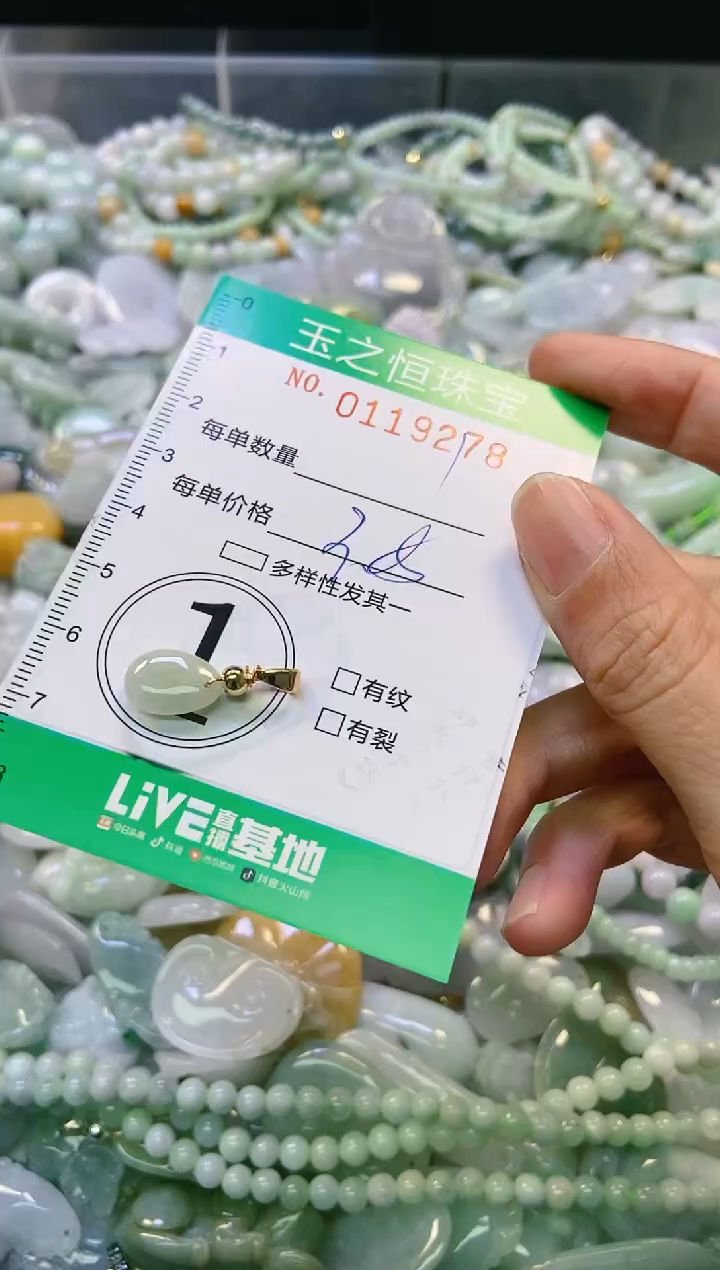 翡翠未镶嵌颈饰闪购0119278