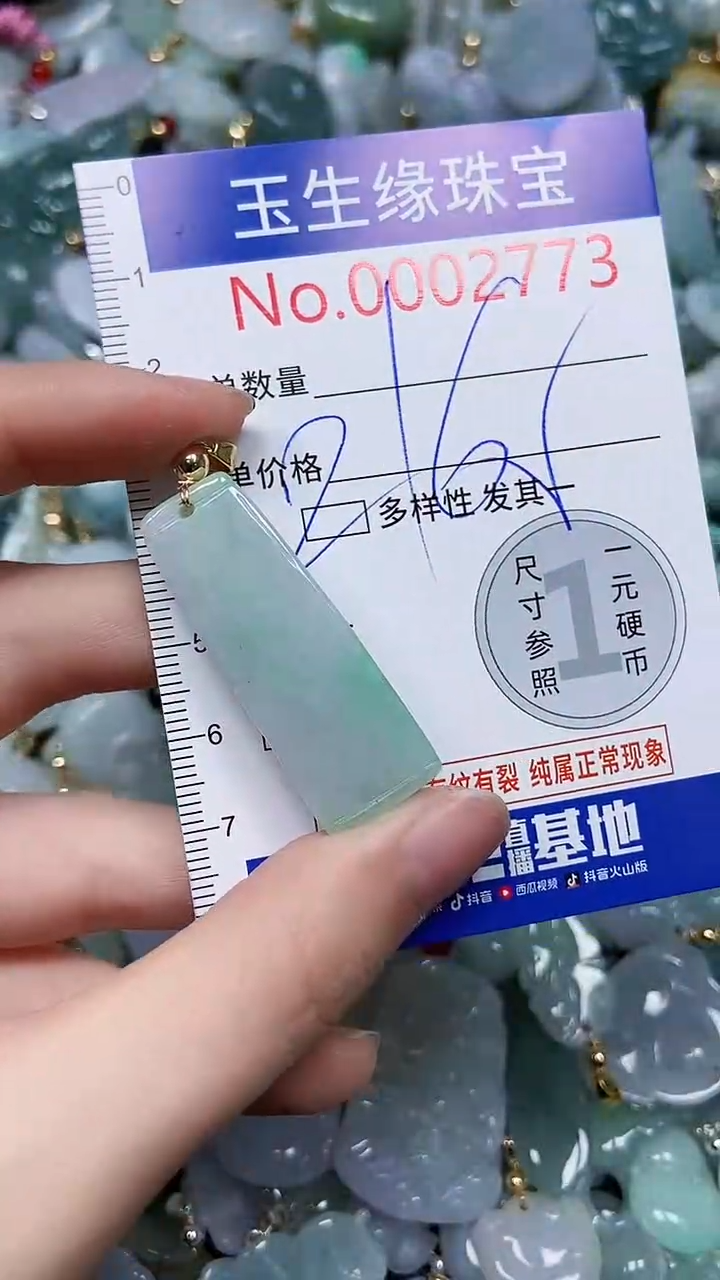 【闪购商品】翡翠颈饰未镶嵌闪购00002773