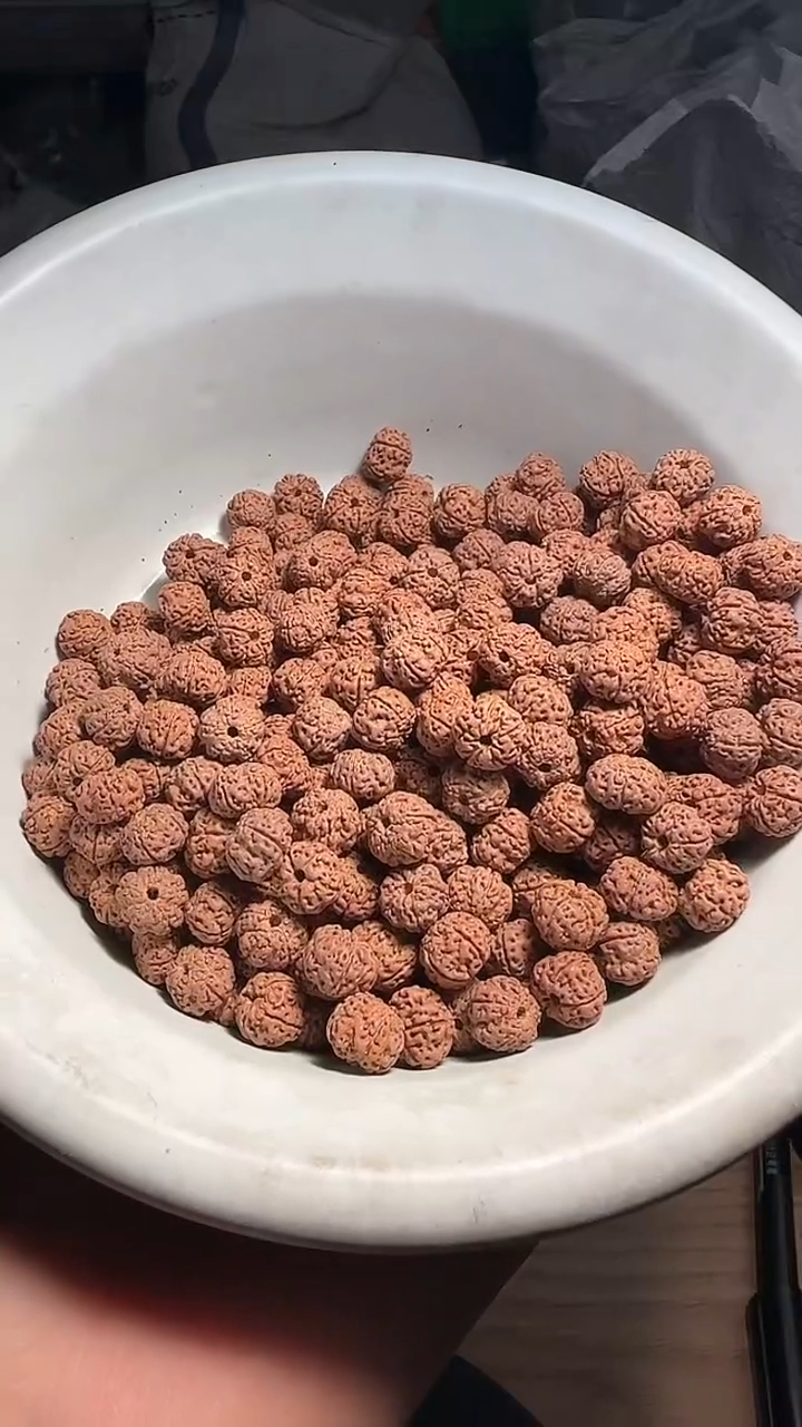 金刚菩提手串非全平细散籽9-10一份五十颗