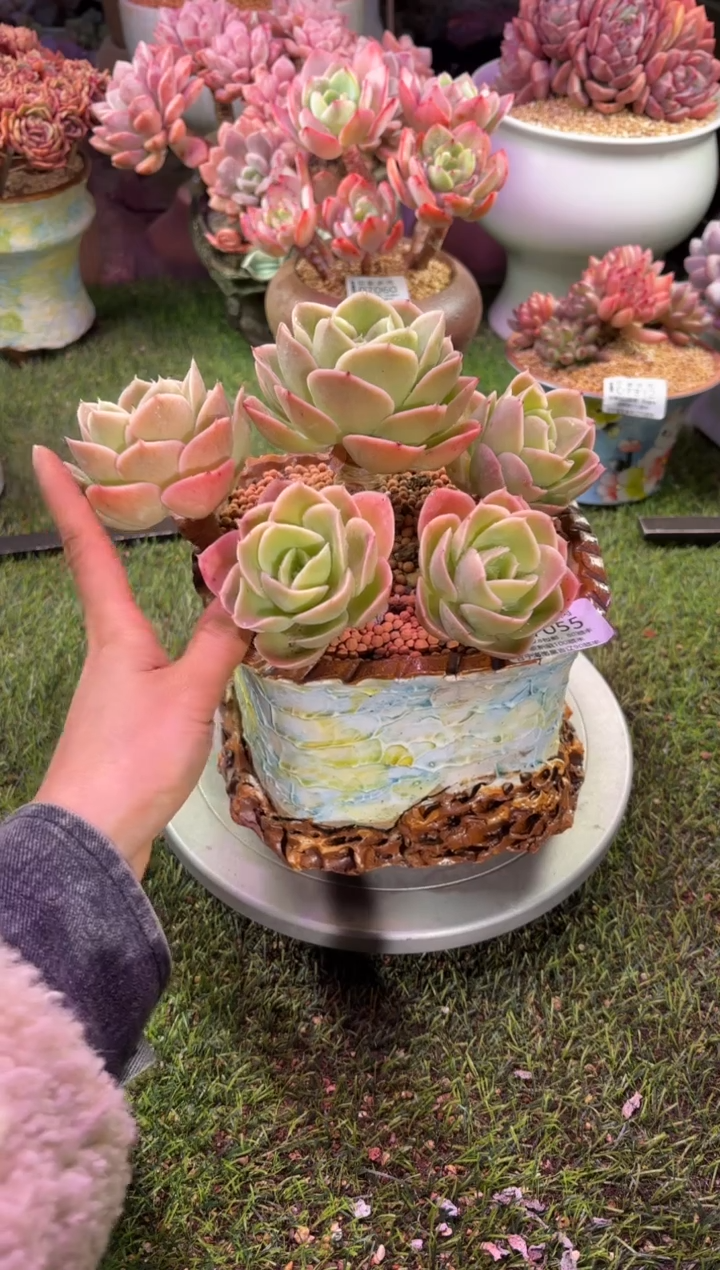 【闪购商品】07055