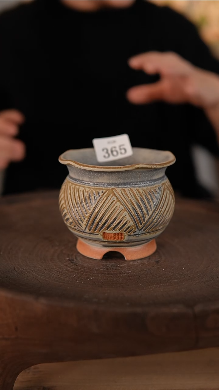 【闪购商品】红陶1-20-365默认微瑕口6