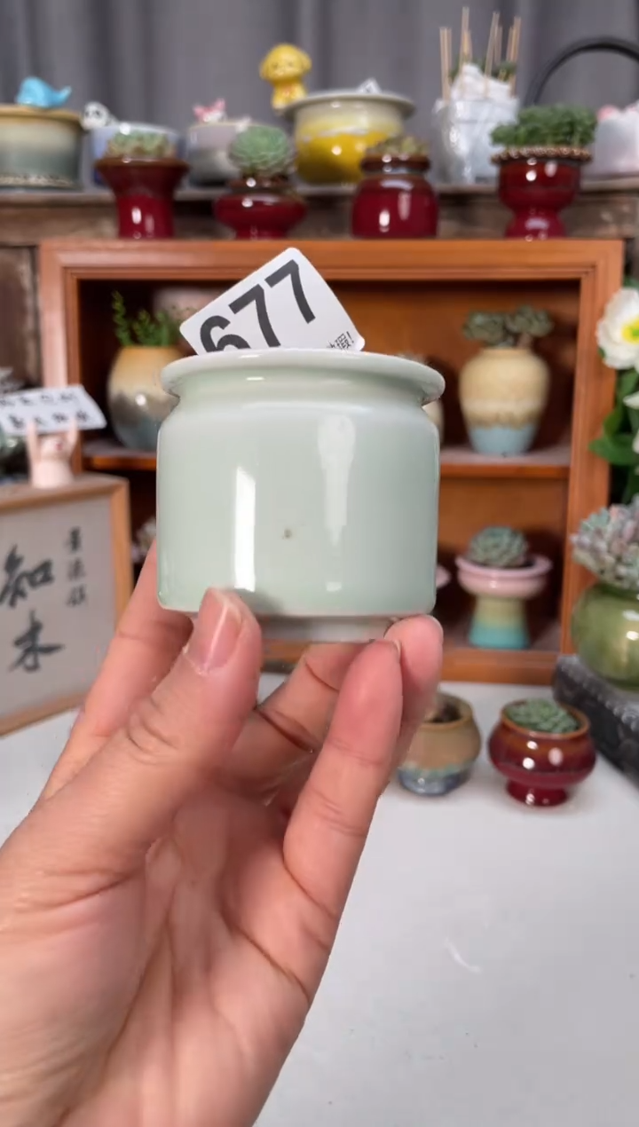 瓷片微瑕677小芳直播编号