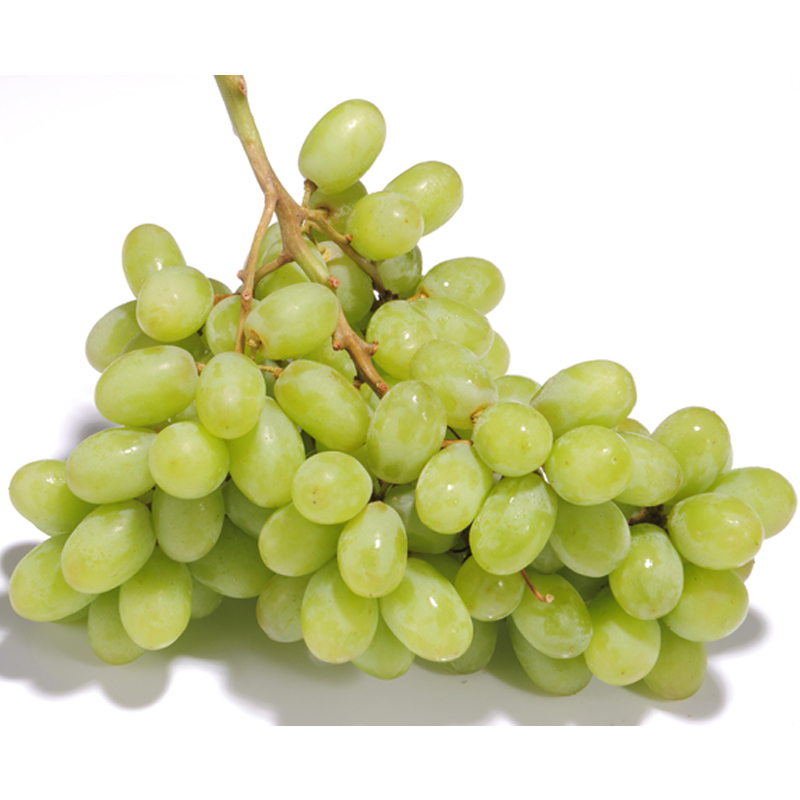 【抖】青提 约500g±30g/份