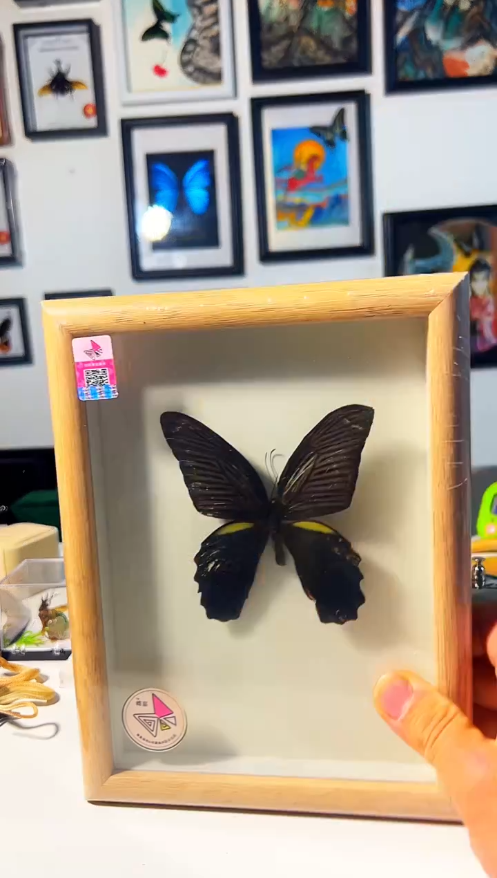 有机玻璃468685283