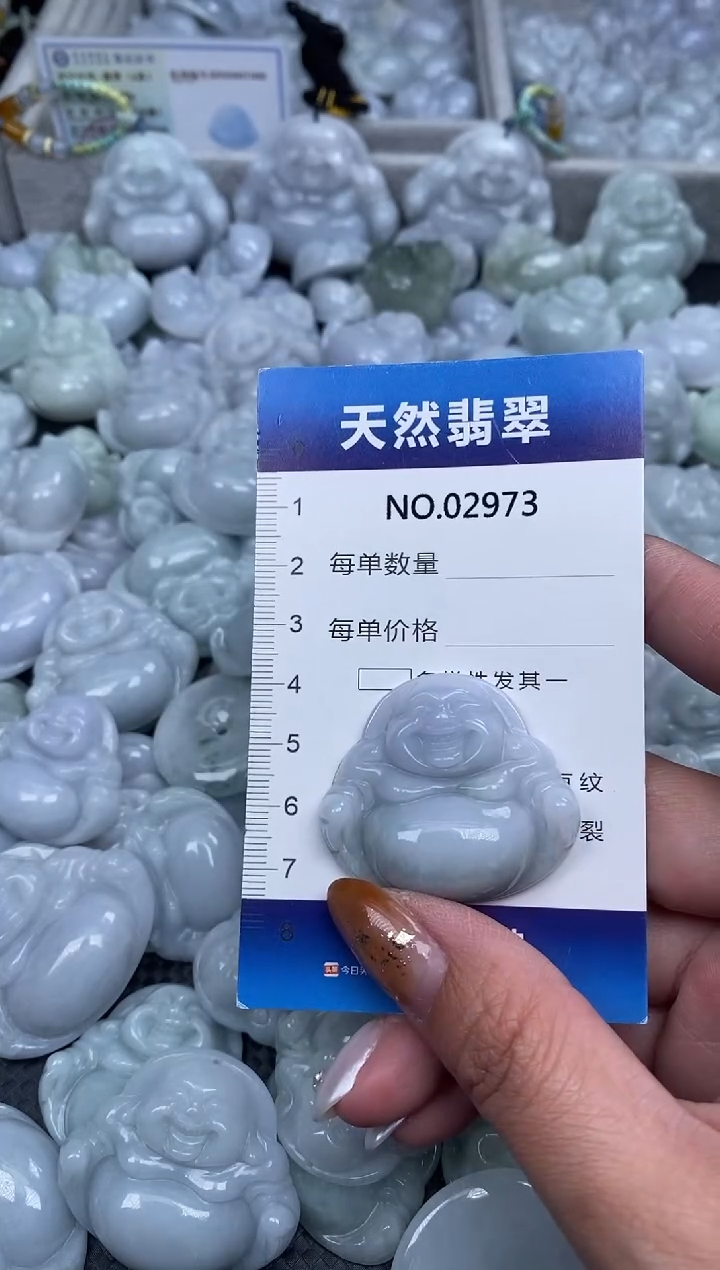 颈饰未镶嵌翡翠纯天然A货翡翠2973