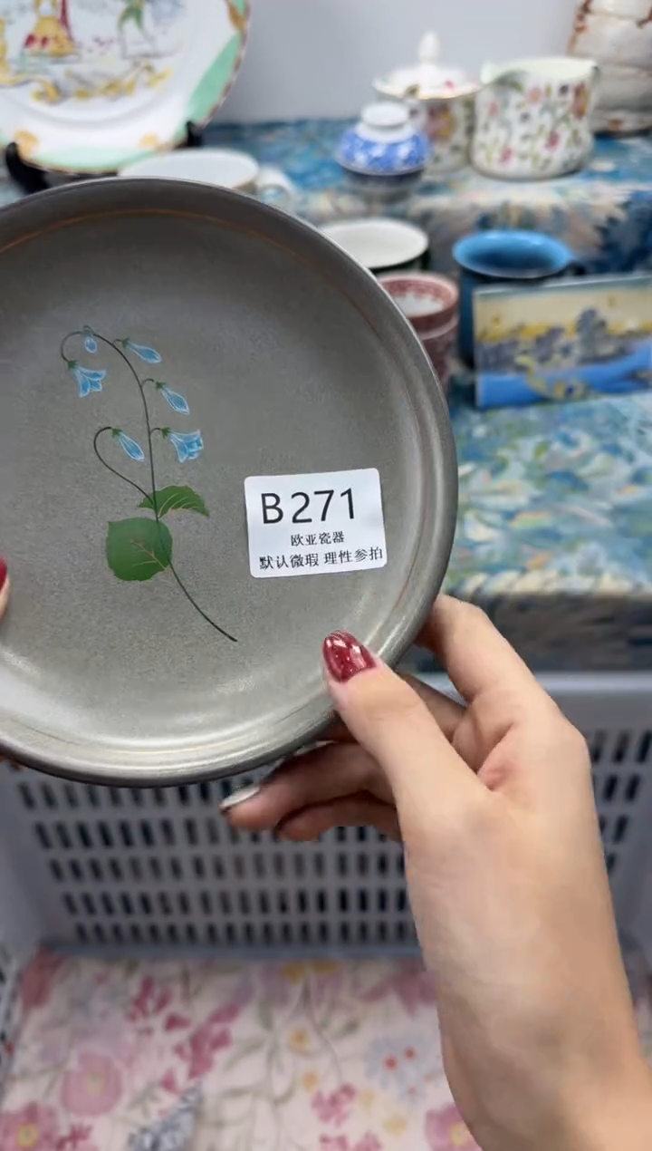 瓷片最**虫           B271