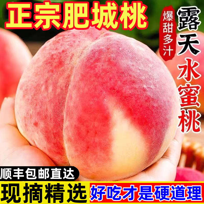 【送礼精选】山东肥城桃特大桃新鲜现摘应季水果顺丰礼盒装