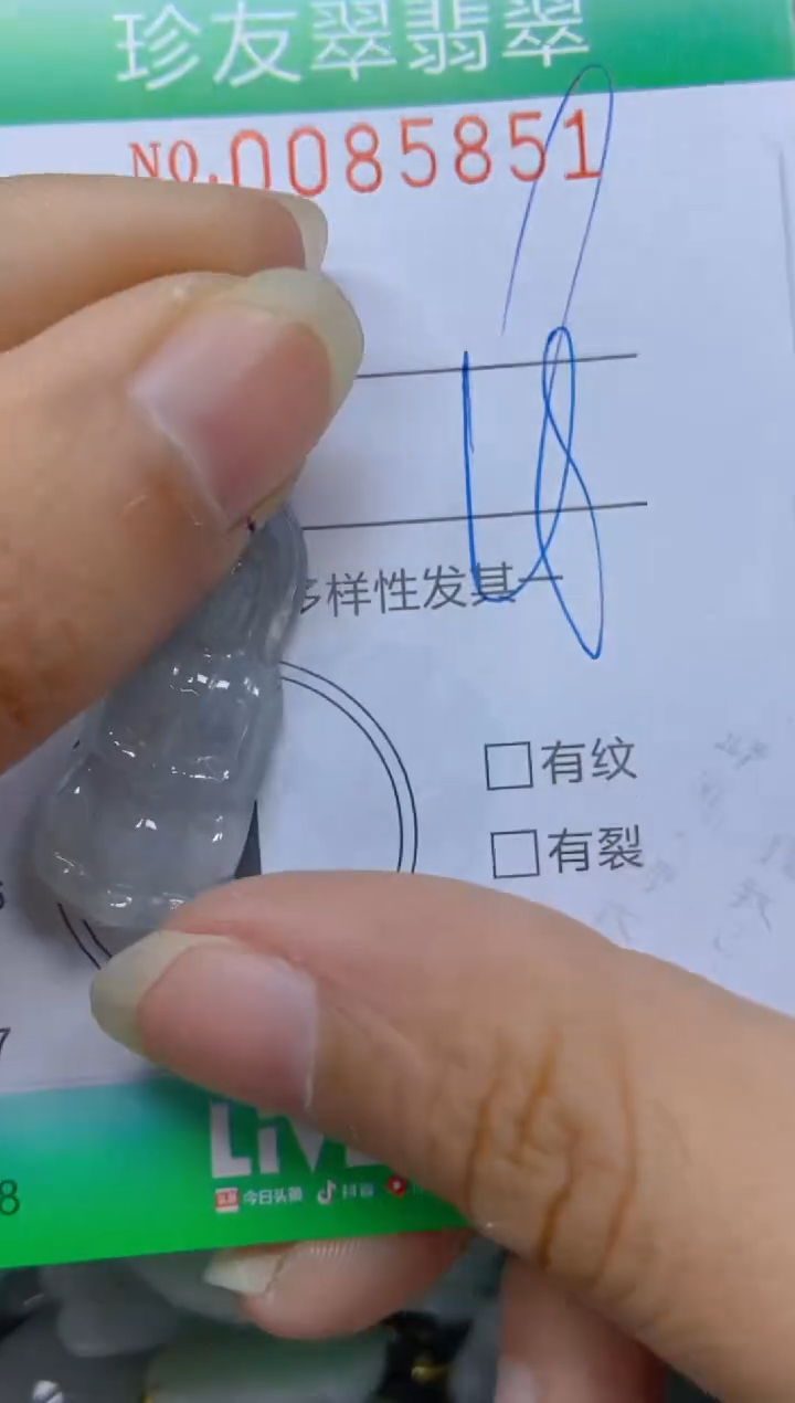 【闪购商品】翡翠颈饰未镶嵌闪购0085851