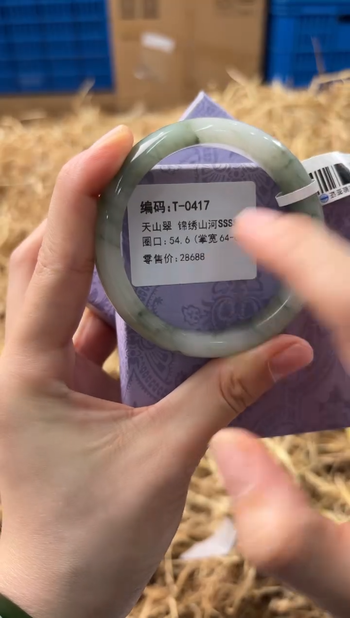 未镶嵌手镯石英质玉T0417