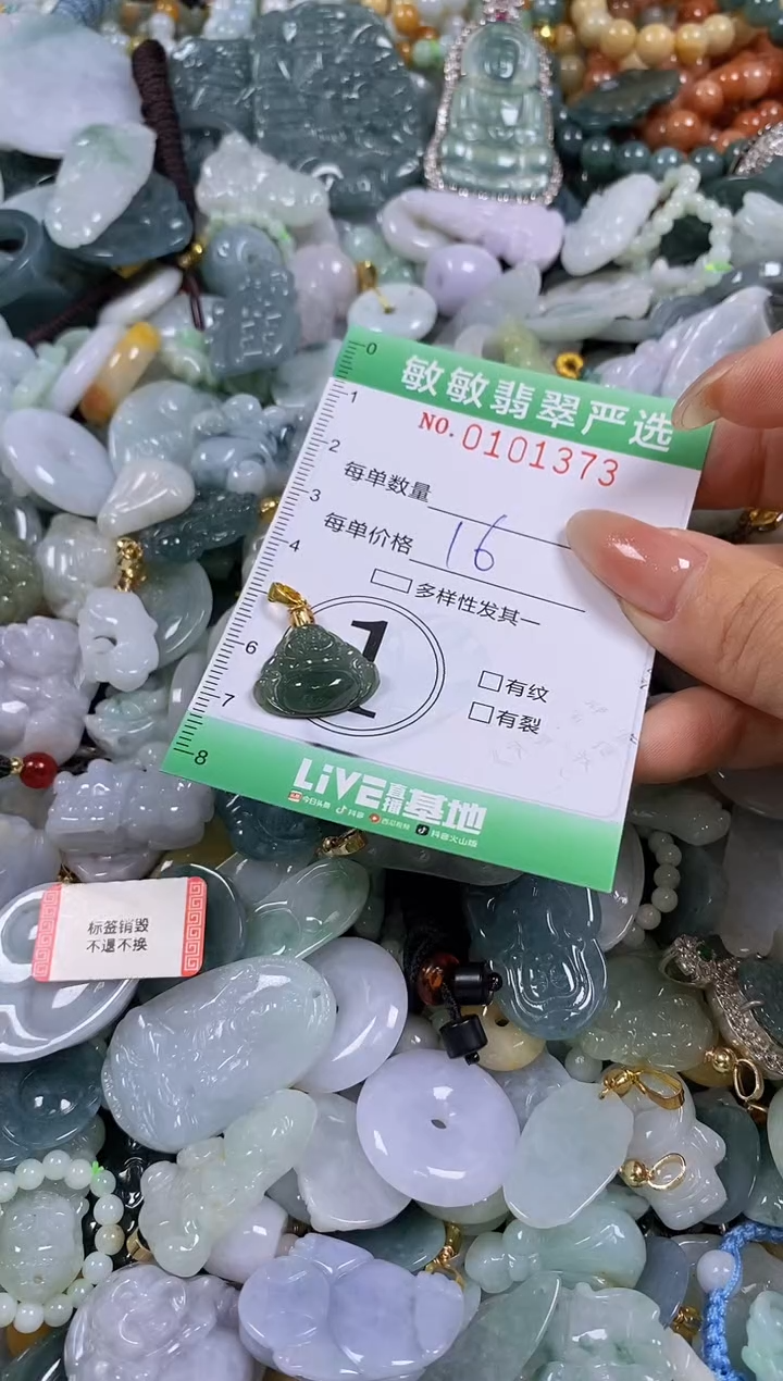 【闪购商品】翡翠颈饰未镶嵌闪购链接0101373