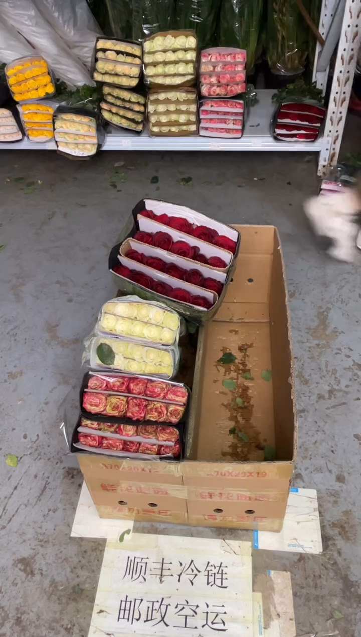 骄傲20枝+苹果杰克20枝+高原红20枝