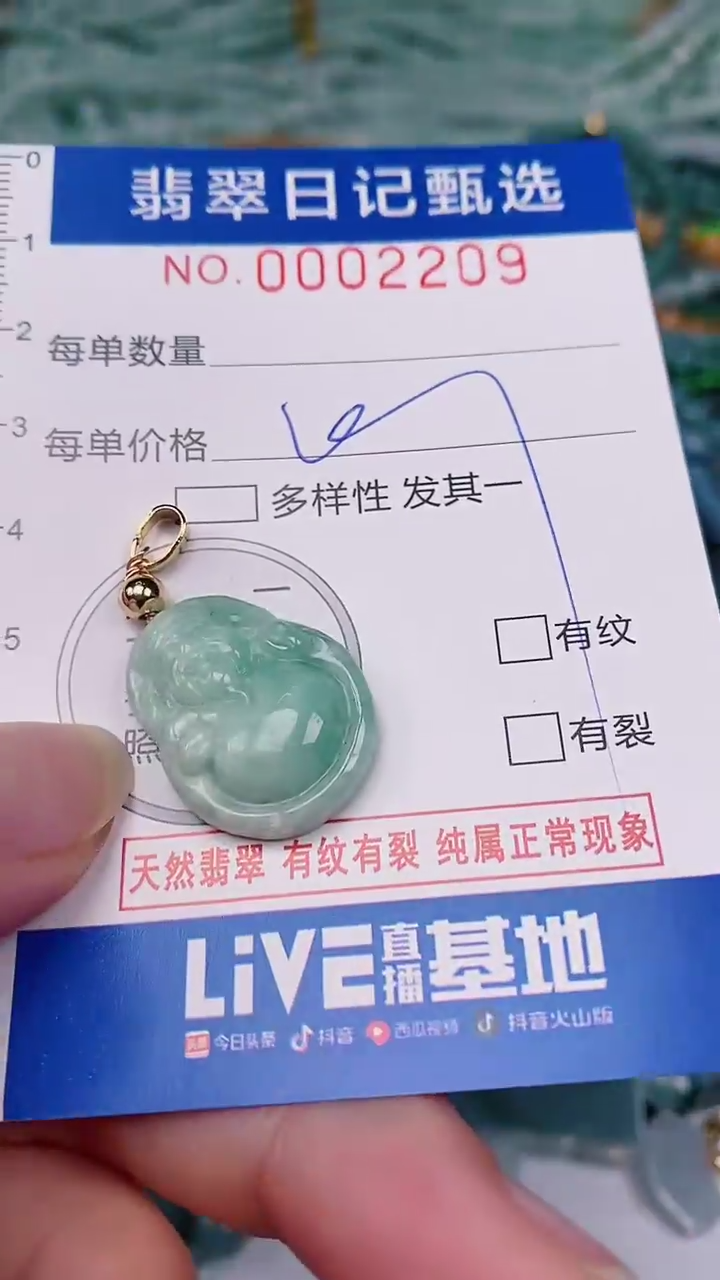 【闪购商品】翡翠颈饰未镶嵌00002209