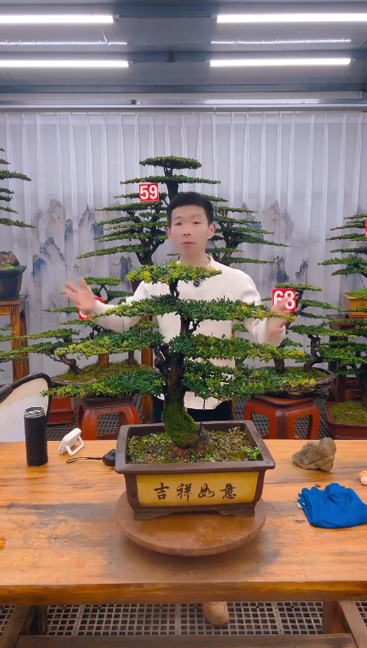 【闪购商品】紫砂精品盆景直播间一物一拍