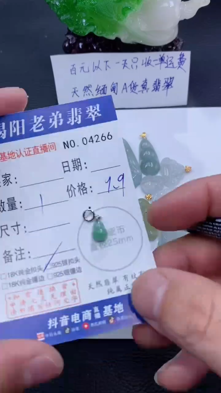 颈饰银S925镶嵌翡翠多样性发其中一件